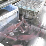 まるは食堂旅館 - 