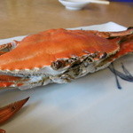 まるは食堂旅館 - 