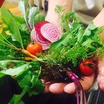 gurumi - 料理写真:契約農家から直接仕入れている野菜たちです