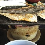 伊豆 薫風 - あじの開き