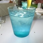 Orchids - 2015年のアイスウォーター