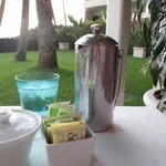 Orchids - 2015年の内観