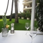 Orchids - 2015年の内観