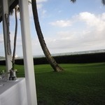 Orchids - 2015年の内観