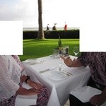 Orchids - 2015年の内観