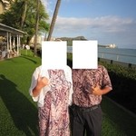 Orchids - 2015年の内観