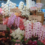 和処まるまさ　海鮮・旬彩料理 - 祝３周年