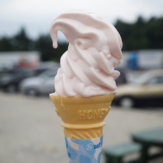 駒ヶ岳サービスエリア(下り線)テイクアウトコーナー_2