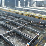 Big Island Abalone Corporation - アワビの養殖所