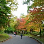 Kagetsu - 中島公園の紅葉①