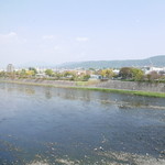 キンカーオ - 鴨川