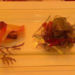 レッジョ・ネレミリア - カツオのカルパッチョ：２種類のソースでそれぞれ盛り付けられています。