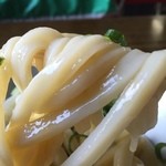 手打うどん たむら - 醤油うどんリフト・・・麺がツヤッツヤ♪