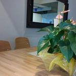 パンフリット - 店内奥