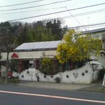 トレビノ・カフェ - 道路の反対側から見たところ