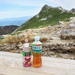 100%のジュース(350円)とお茶(300円)