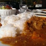 野のもの - もちきび，アマランサスを使用している、とろみのあるカレー☆