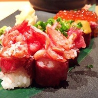 宇田川 紫扇 - 