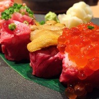 宇田川 紫扇 - 
