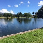 Kaimana Farm Cafe - アラワイ運河沿いをぶらーり