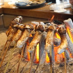 柳家 - 松茸　(2015/10)