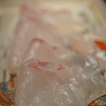 さ行 - 2015年10月真鯛のしゃぶしゃぶの真鯛アップ