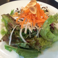 ウルフギャング・パック カフェ 愛知芸術文化センター店 - ランチのサラダ