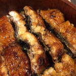 活うなぎひつまぶし 並