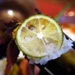 青山 星のなる木 - 