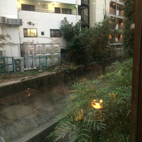 coci - 