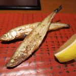 日本橋逢坂 - 本ししゃも塩焼き