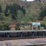 そば処 平石亭 - 只見線「大白川駅ホーム」