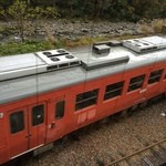 そば処 平石亭 - 臨時列車（店内から）