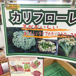 Gurinsamu Ichiba - 初めてのお野菜…カリフローレ♡