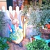 ピーターラビット ガーデンカフェ  自由が丘