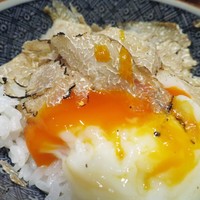 尾崎幸隆 - トリュフと温泉卵の御飯
                
