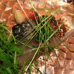 セルヴァッジョ - 関サバ 佐渡島いちじく添え