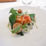 ル・ニコ・ア・オーミナミ - 