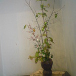 よし房 凛 - 2015年10月