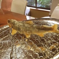 一宝 本店 - 琵琶湖の子持ち鮎