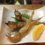 宮津の蕪村 - ハタハタの一夜干し