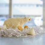 洋菓子店　アンドレディ - どんぐりとくまクッキー