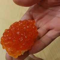 初音鮨 - 