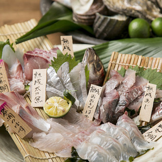 [Fresh Seafood] Fresh fish from Akashi Hiruami! !