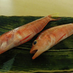 築地すし好 JIN仁 - 姫小鯛