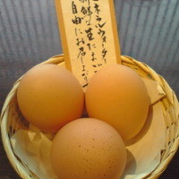 赤坂うまや - たまご