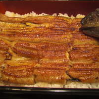 うなぎ割烹 大江戸 - 2本いかだ