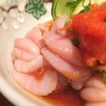 七伍屋 - きょーのびらびら©風太くん