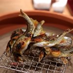 松川 - 2015/10琵琶湖子持ち鮎 塩焼き