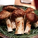 松川 - 2015/10松茸